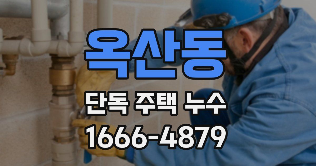 옥산동 단독 주택 누수