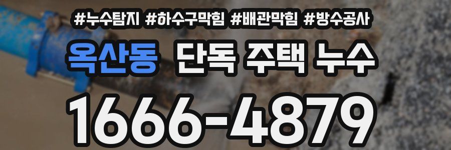 옥산동 단독 주택 누수