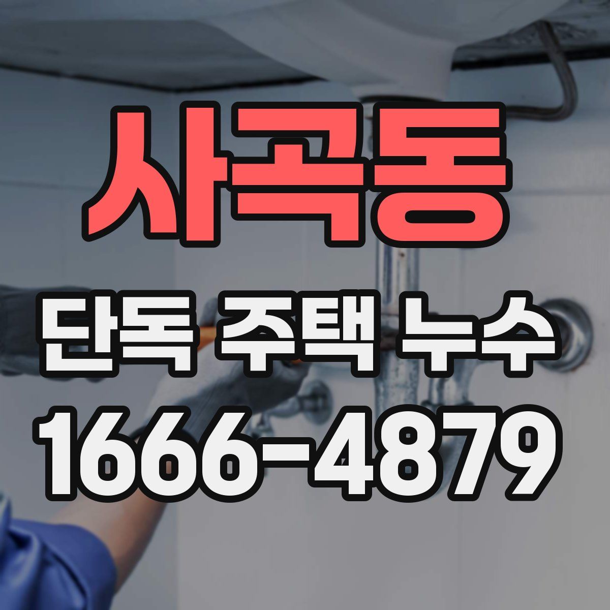 사곡동 단독 주택 누수