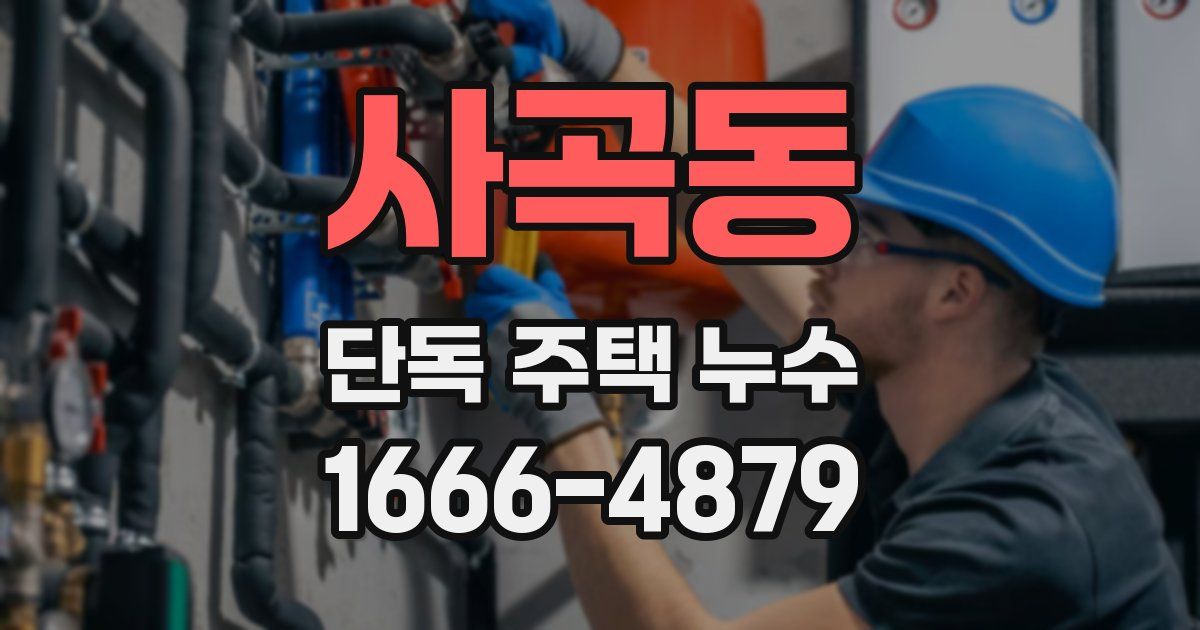 사곡동 단독 주택 누수