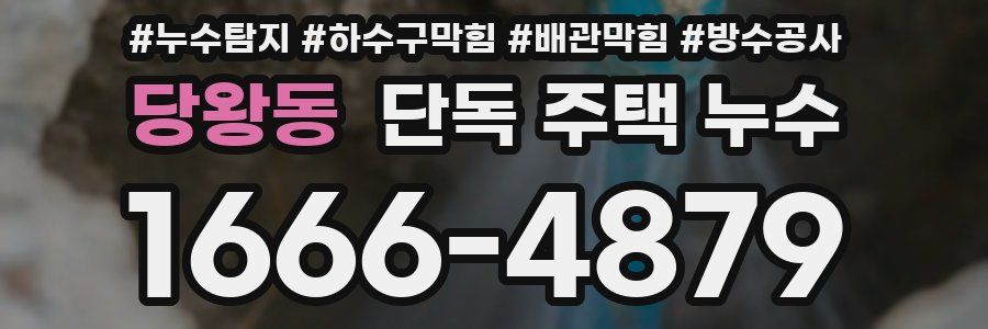 당왕동 단독 주택 누수