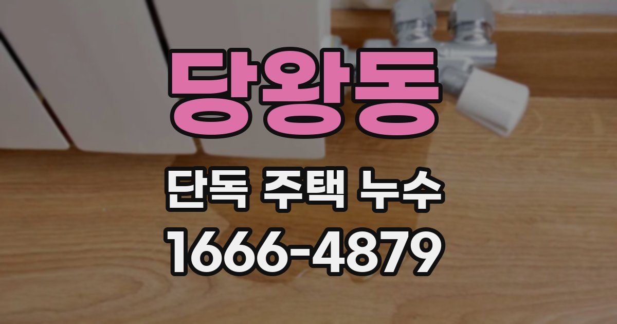 당왕동 단독 주택 누수
