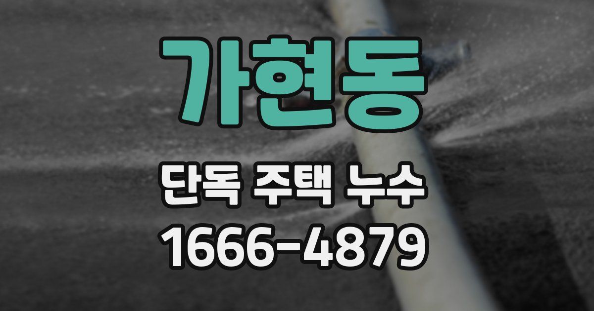 가현동 단독 주택 누수
