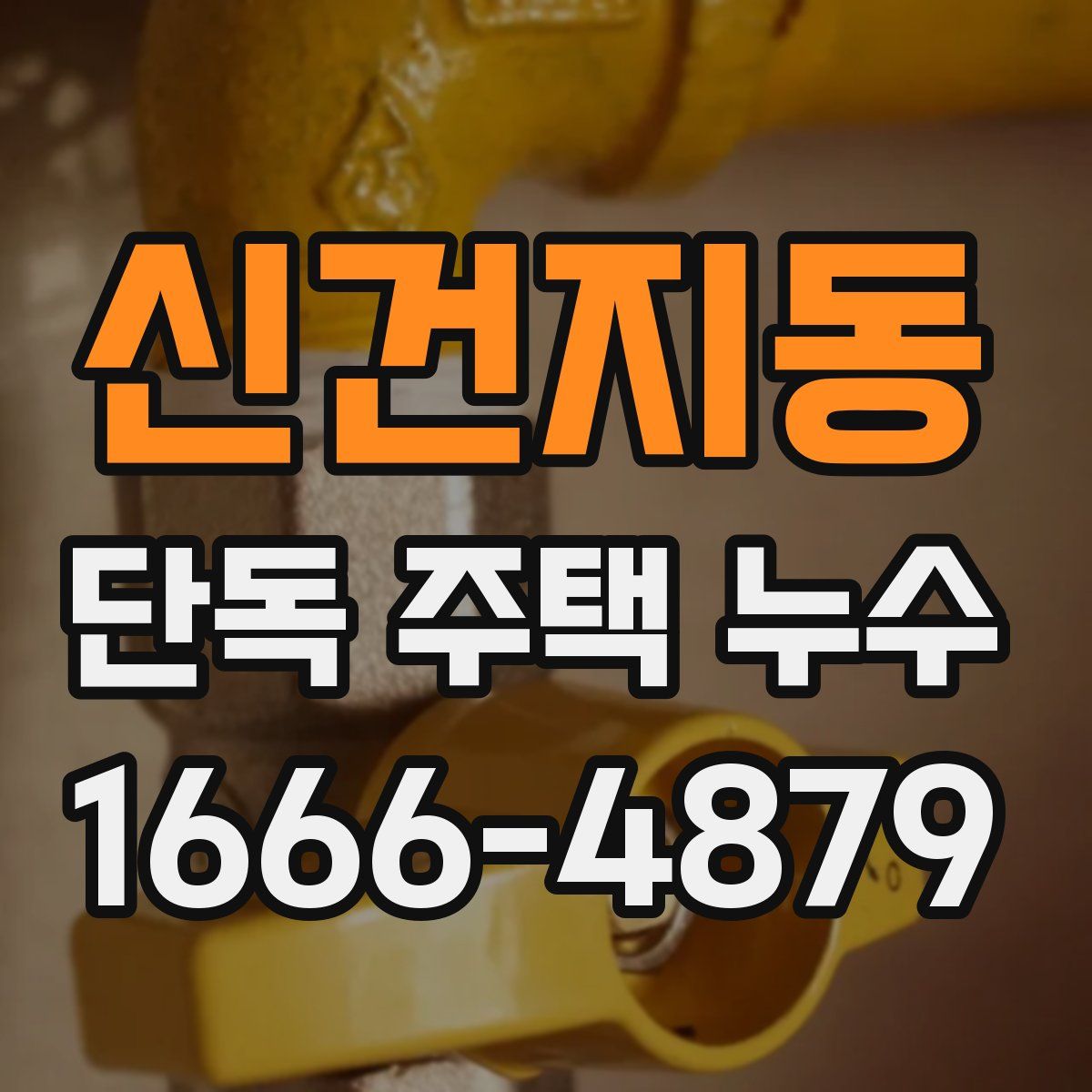 신건지동 단독 주택 누수