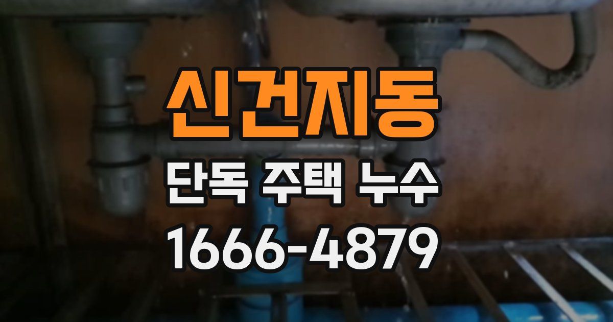 신건지동 단독 주택 누수