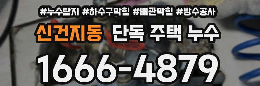 신건지동 단독 주택 누수