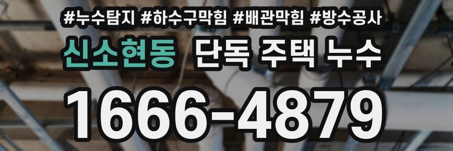 신소현동 단독 주택 누수