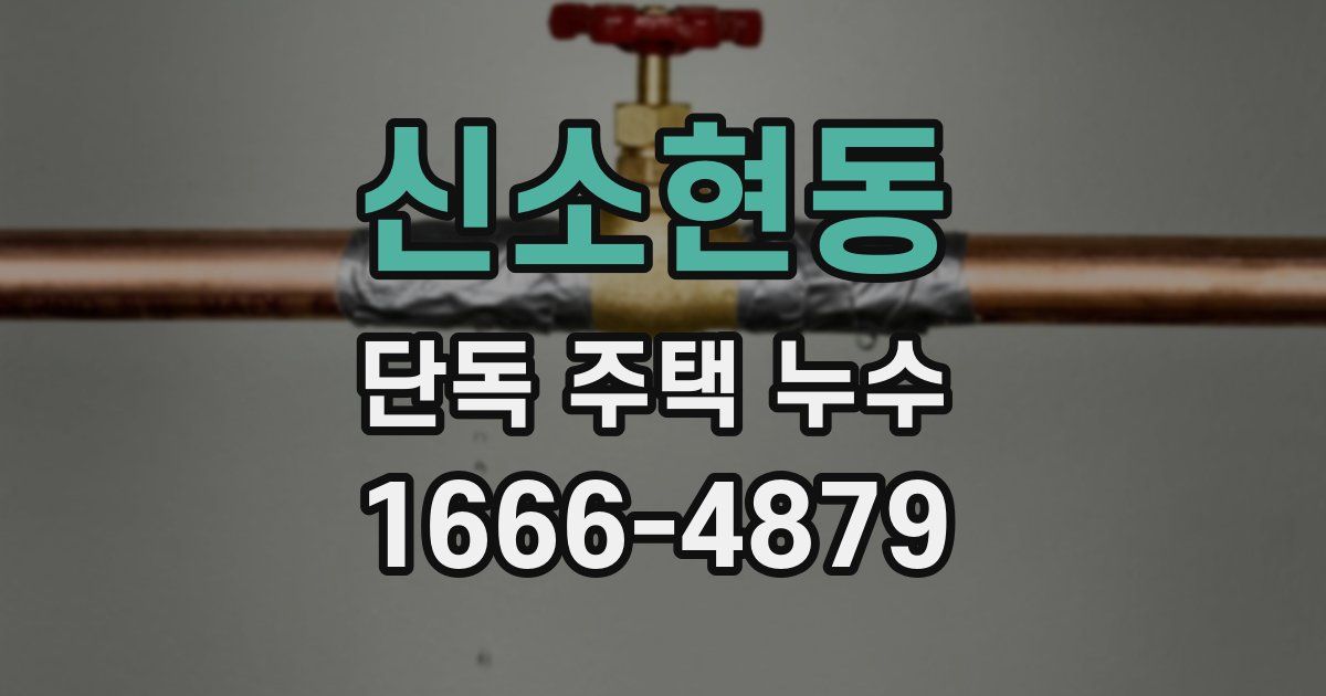 신소현동 단독 주택 누수