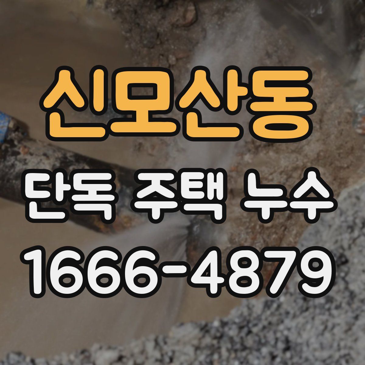 신모산동 단독 주택 누수