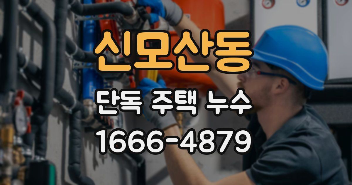 신모산동 단독 주택 누수