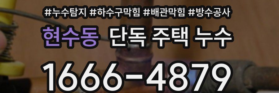 현수동 단독 주택 누수
