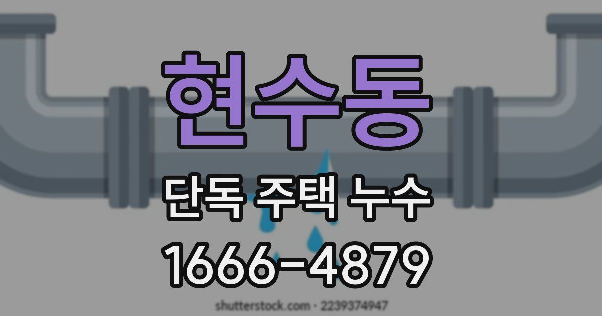 현수동 단독 주택 누수
