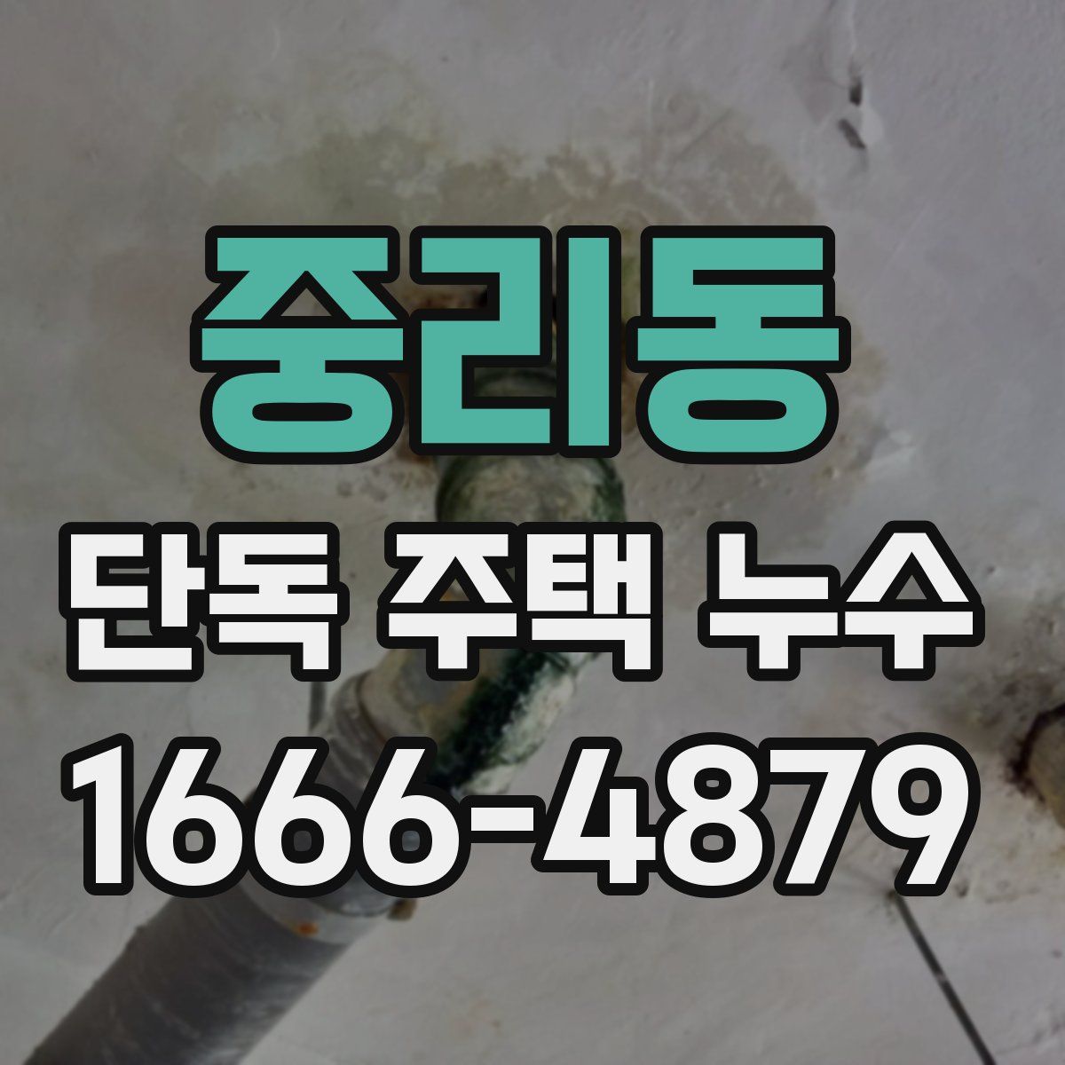 중리동 단독 주택 누수