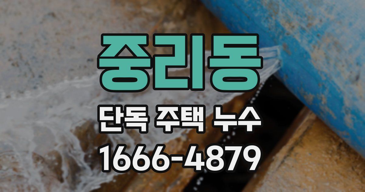 중리동 단독 주택 누수