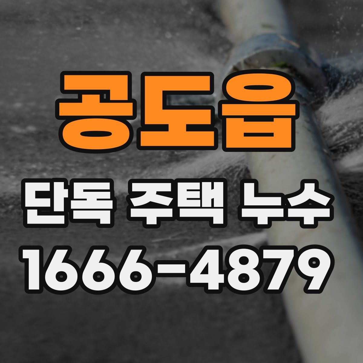 공도읍 단독 주택 누수