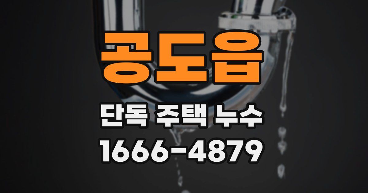 공도읍 단독 주택 누수