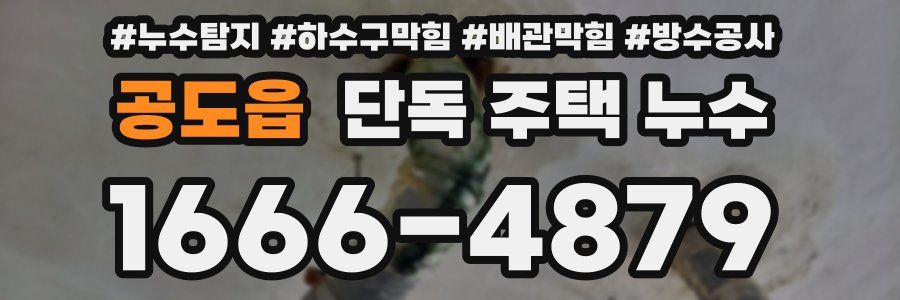 공도읍 단독 주택 누수