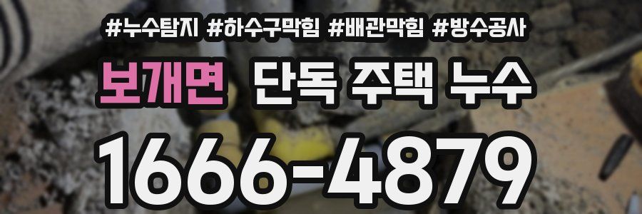 보개면 단독 주택 누수