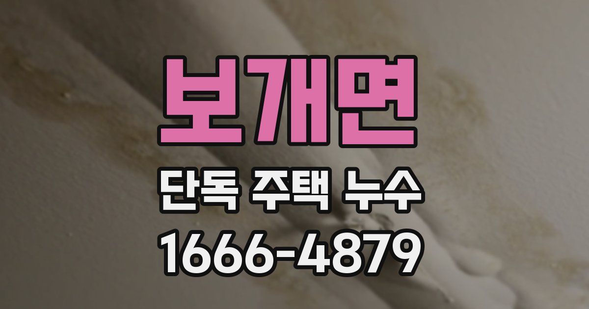 보개면 단독 주택 누수