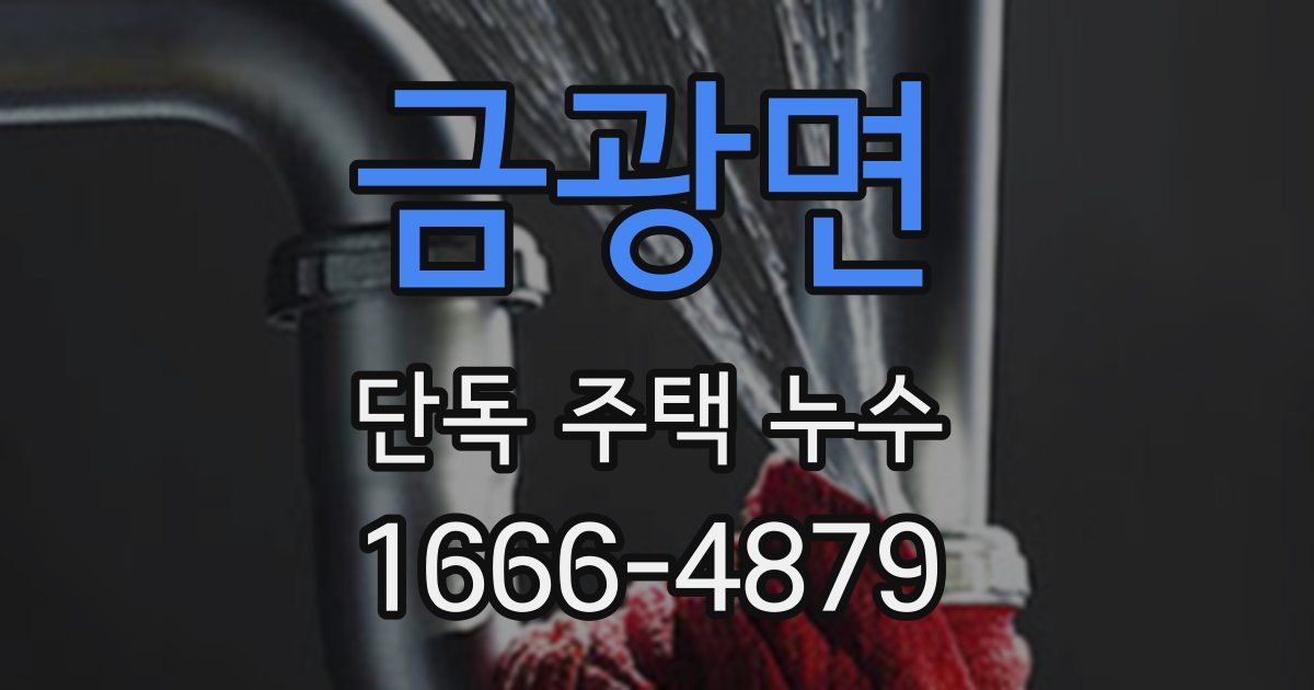금광면 단독 주택 누수