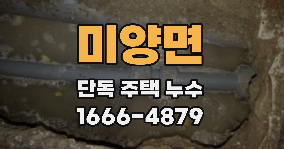 미양면 단독 주택 누수