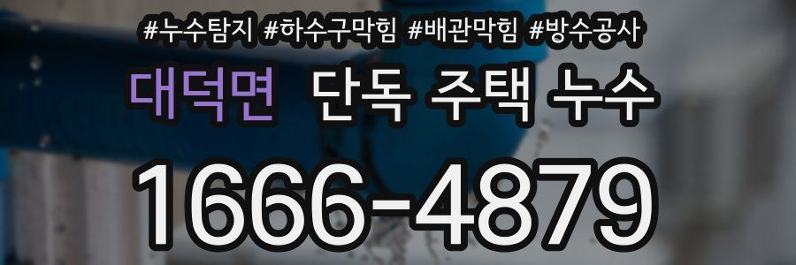 대덕면 단독 주택 누수