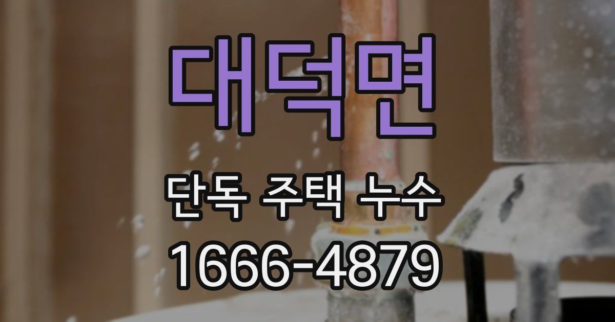 대덕면 단독 주택 누수