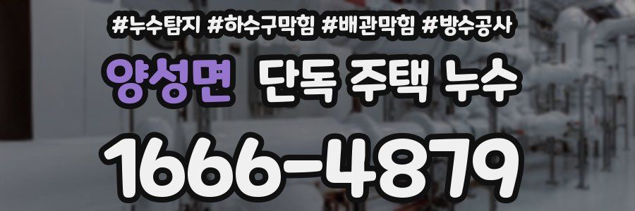 양성면 단독 주택 누수