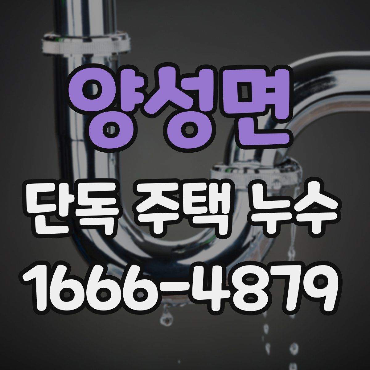 양성면 단독 주택 누수