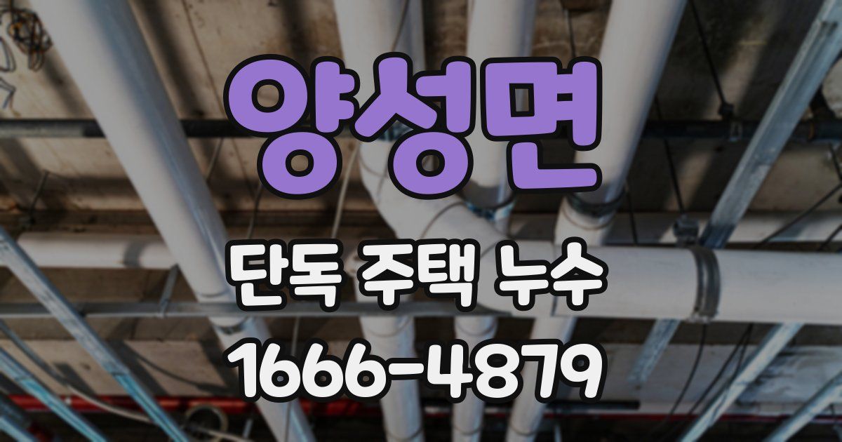 양성면 단독 주택 누수