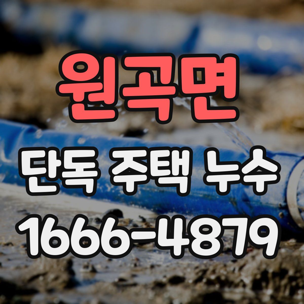 원곡면 단독 주택 누수