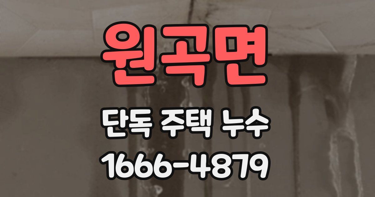 원곡면 단독 주택 누수