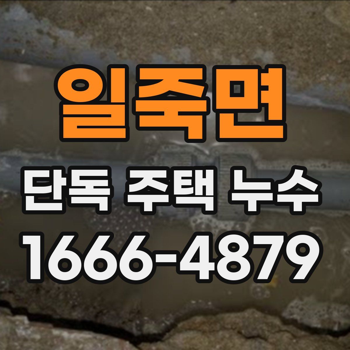 일죽면 단독 주택 누수