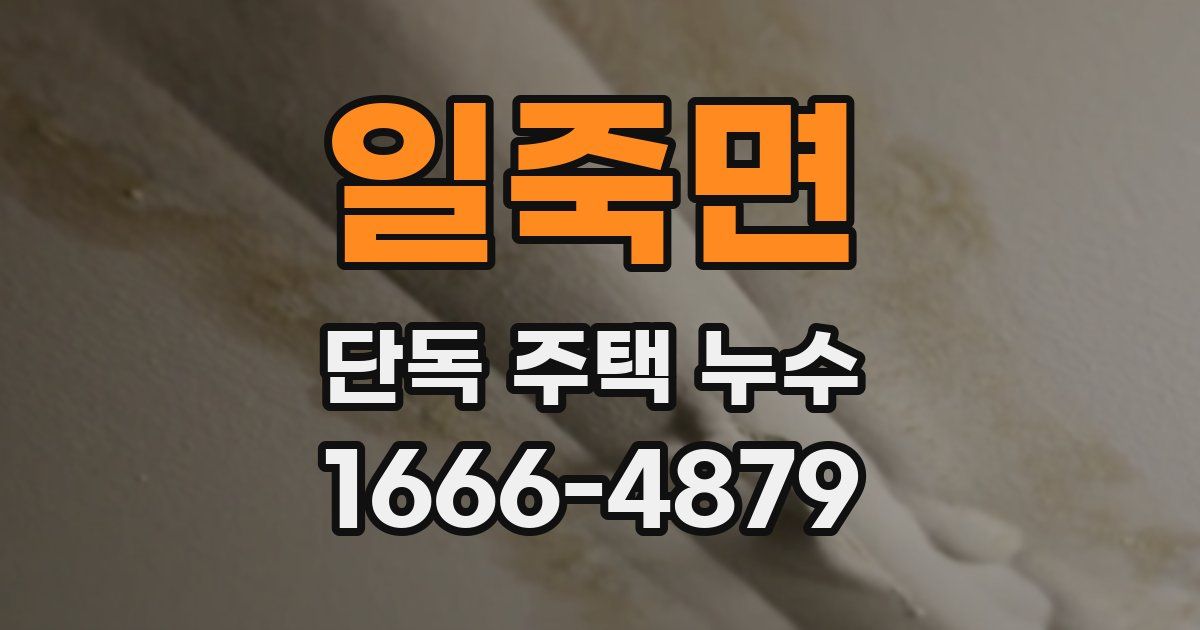 일죽면 단독 주택 누수