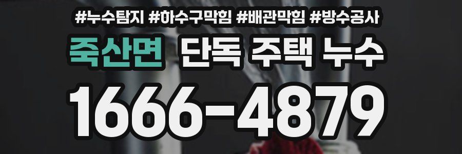 죽산면 단독 주택 누수