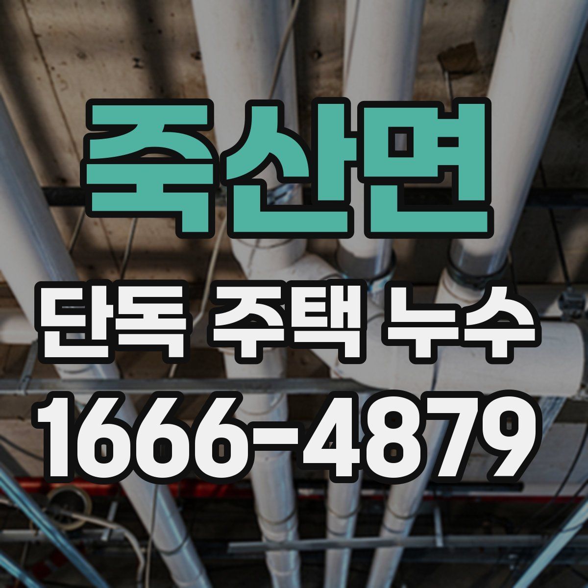 죽산면 단독 주택 누수
