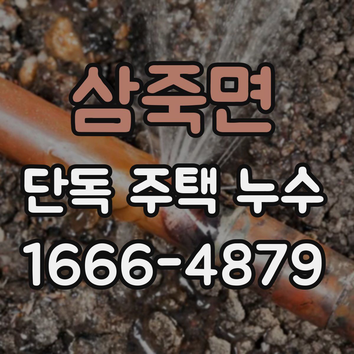 삼죽면 단독 주택 누수