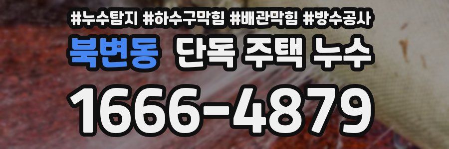 북변동 단독 주택 누수