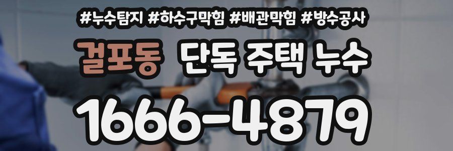 걸포동 단독 주택 누수