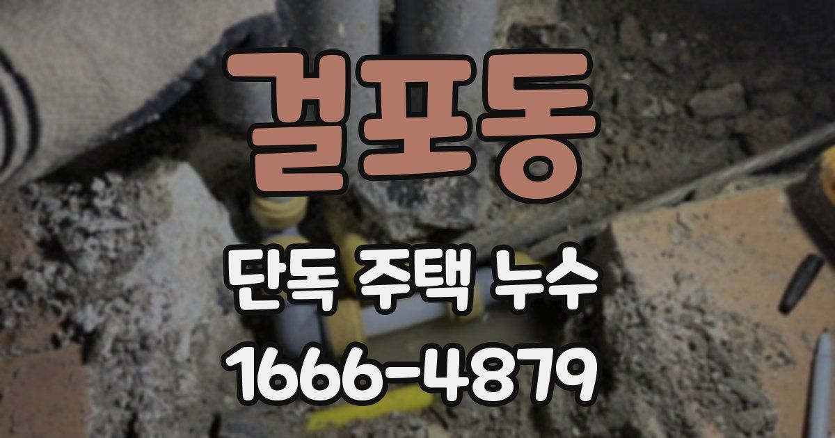 걸포동 단독 주택 누수