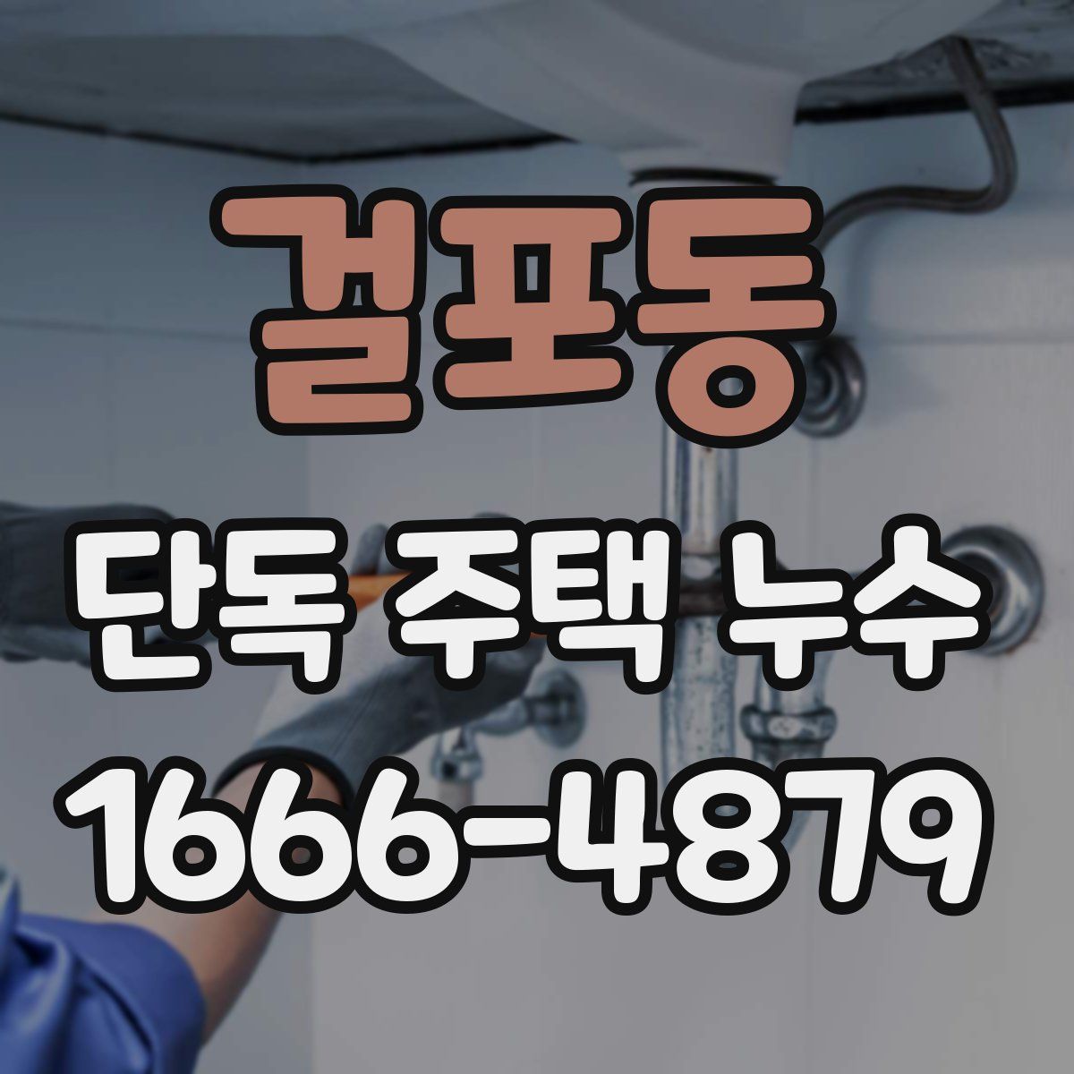 걸포동 단독 주택 누수