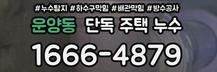 운양동 단독 주택 누수
