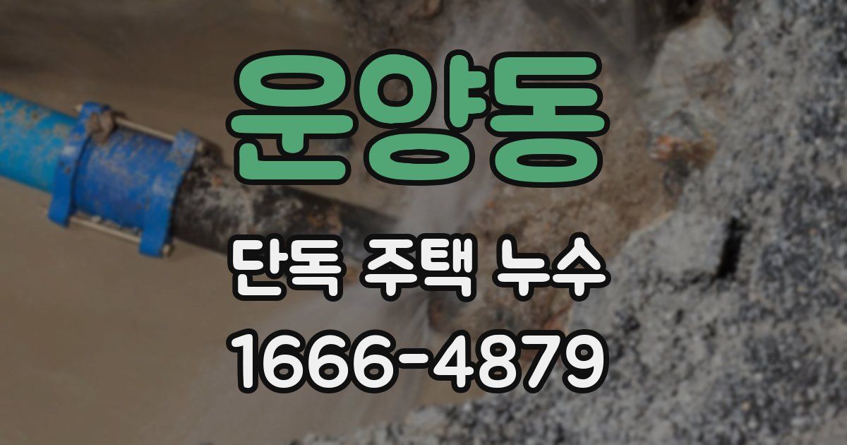 운양동 단독 주택 누수