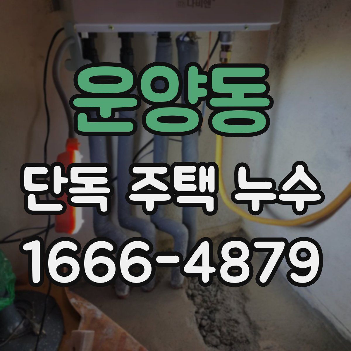운양동 단독 주택 누수