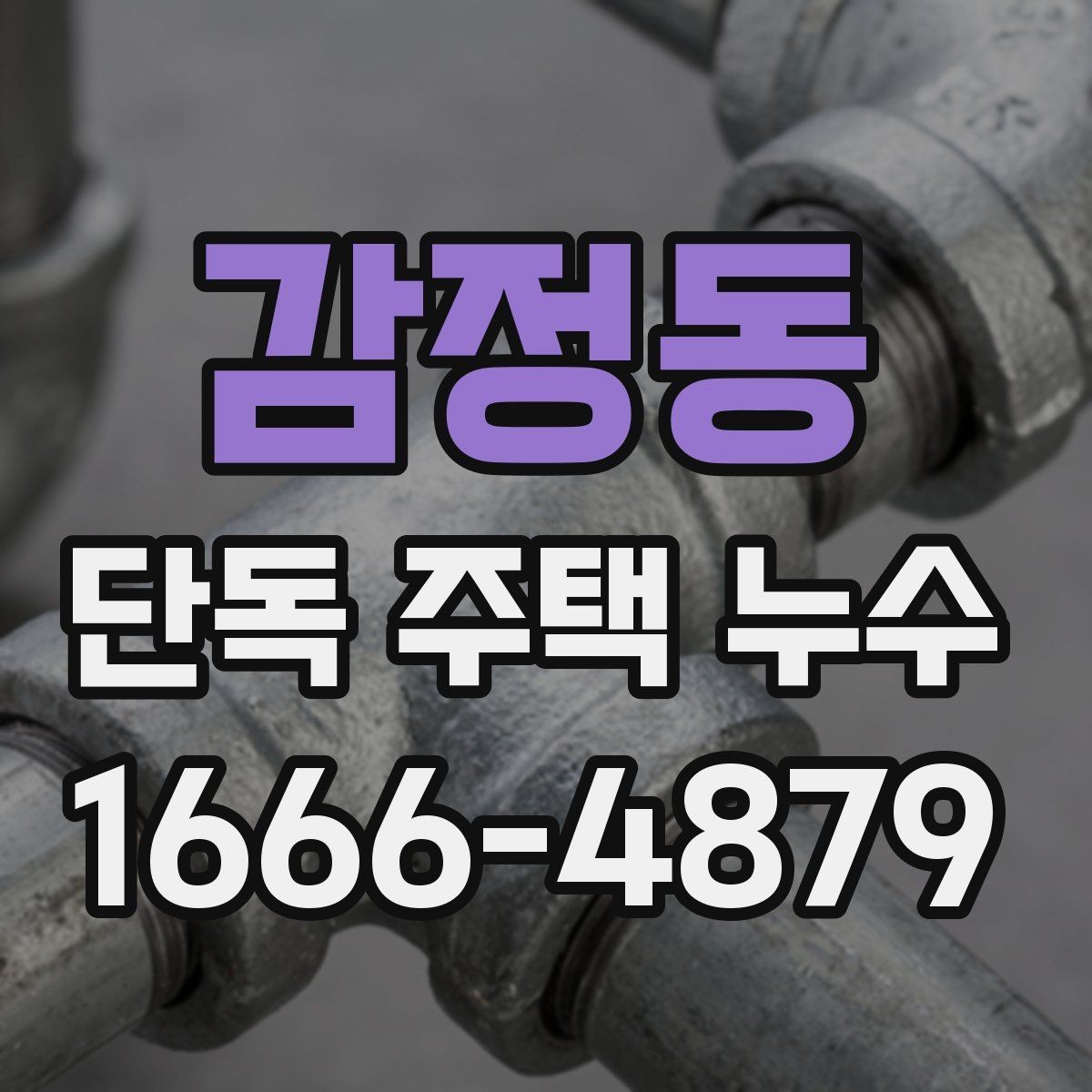 감정동 단독 주택 누수 간단 점검으로 확인하는 방법