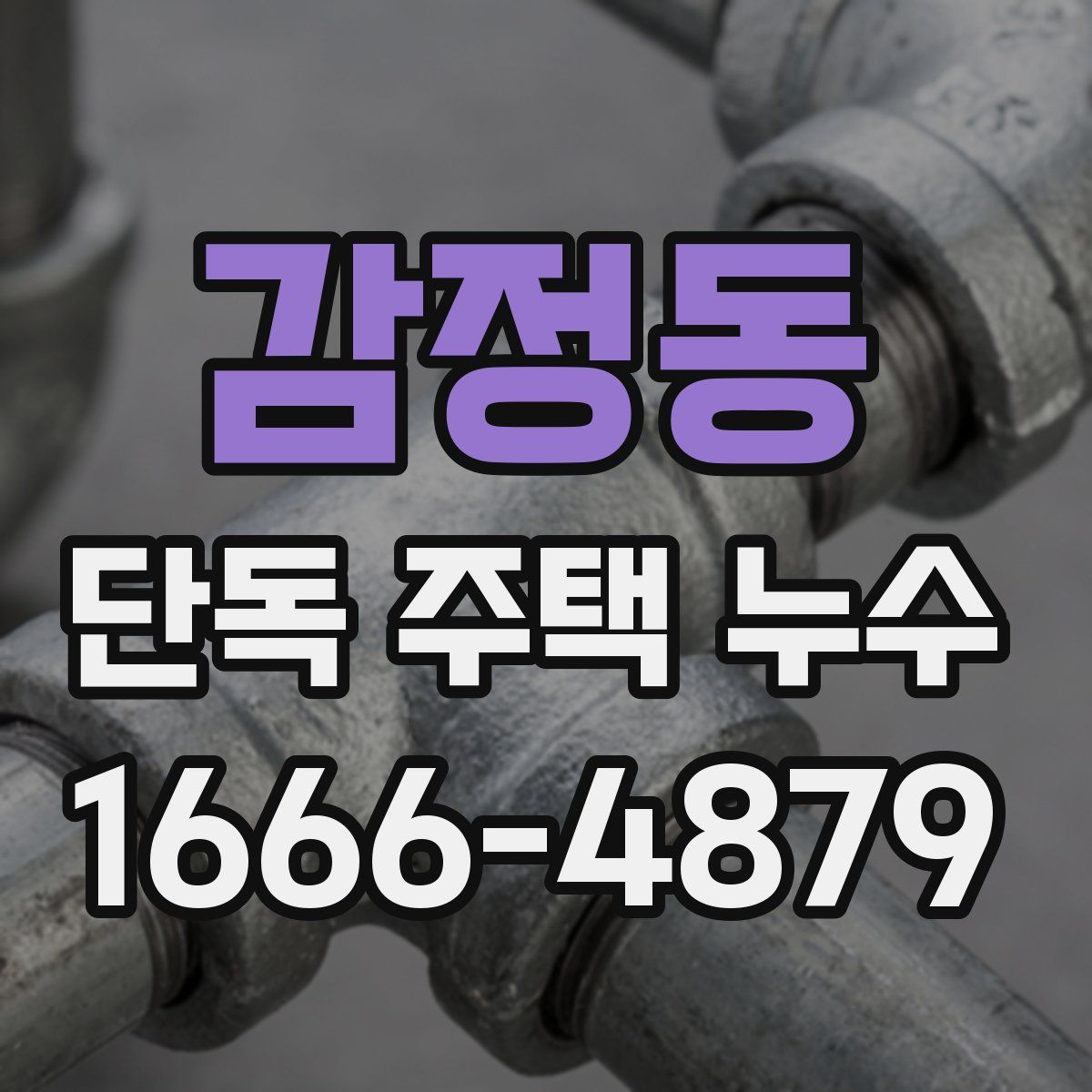 감정동 단독 주택 누수