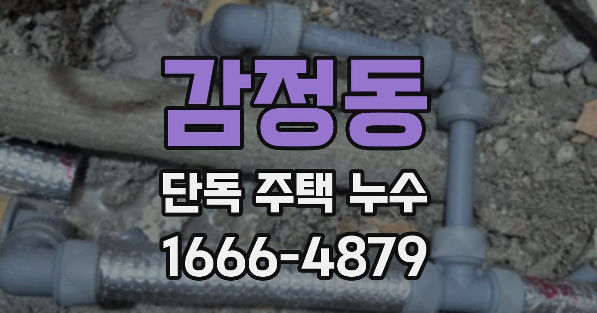 감정동 단독 주택 누수