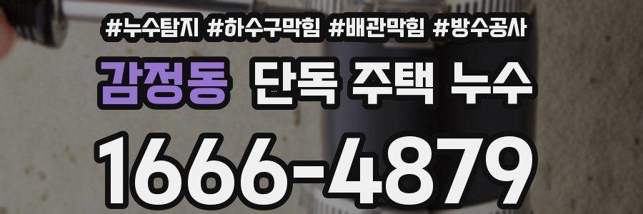 감정동 단독 주택 누수