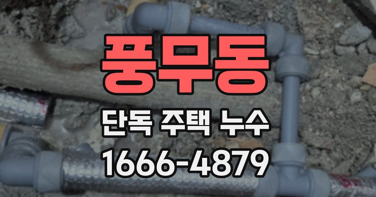 풍무동 단독 주택 누수