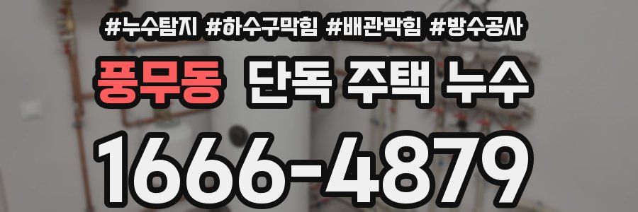 풍무동 단독 주택 누수